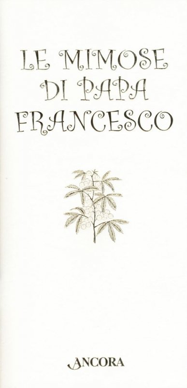 Le mimose di Papa Francesco