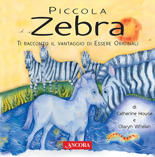 Piccola zebra
