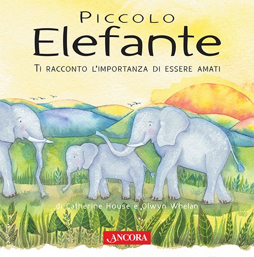 Piccolo elefante