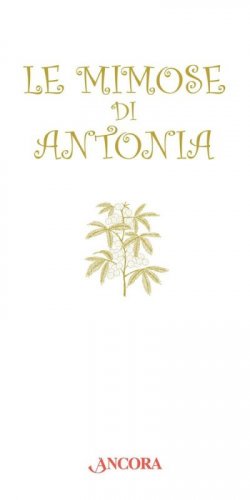 Le mimose di Antonia